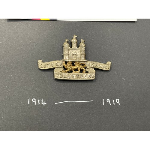 9427 - A City of Norwich Volunteers cap badge, two-tone, slider fitting, circa 1914-1919