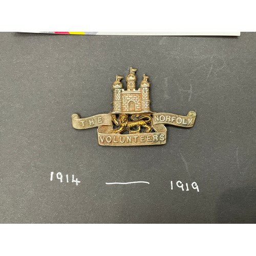 9426 - A Norfolk Volunteers cap badge, two-tone, slider fitting, circa 1914-1919