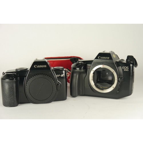 6085 - Two Canon SLR 35mm cameras including a Canon EOS 650