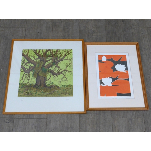 7593 - A framed original vintage print of a tree, signed Hunt and hand numbered from an edition of 200. Ima... 