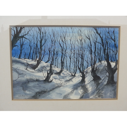 7614 - ORTON MITCHELL (XX/XXI) A framed watercolour of a snowy tree landscape, signed lower left and verso ... 