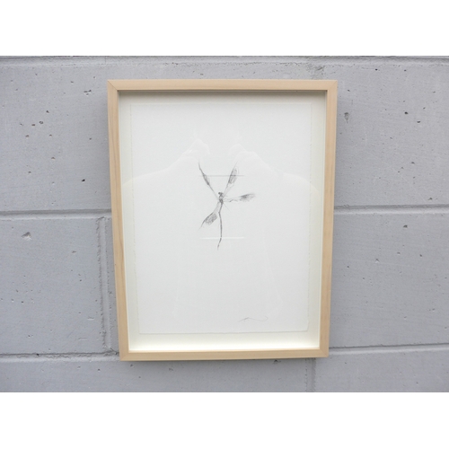 7551 - JESSICA ALBARN (XX/XXI) A framed original drawing of a dragonfly, signed bottom right. Paper size 34... 