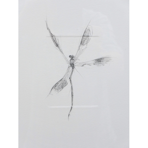 7551 - JESSICA ALBARN (XX/XXI) A framed original drawing of a dragonfly, signed bottom right. Paper size 34... 