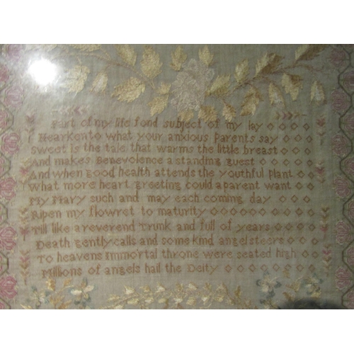 4087 - A 19th Century sampler, worked by Mary Ann Coxhead 1821, with motto, framed and glazed.  40 x 35cm i... 