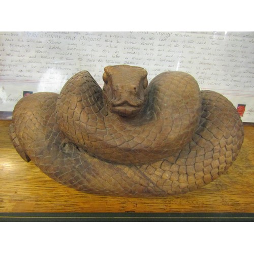 4176 - A hardwood carving of a coiled snake, 35cm long