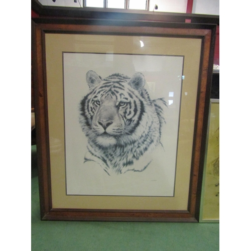 4112 - A Leonard Pearman print of Bengal Tiger, framed and glazed, 53cm x 83cm image size together with a G... 