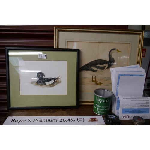 2115 - A 19th Century hand coloured Spur-winged goose print and a duck drawing (2)