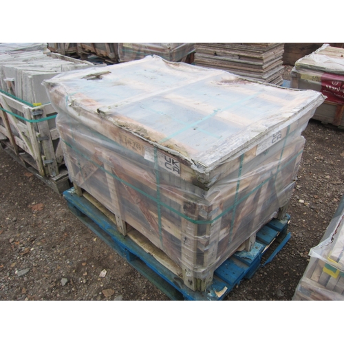 3481 - A pallet of sandstone slabs