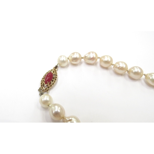 9316 - A single strand pearl necklace with an 18ct gold coral set clasp, 36cm long