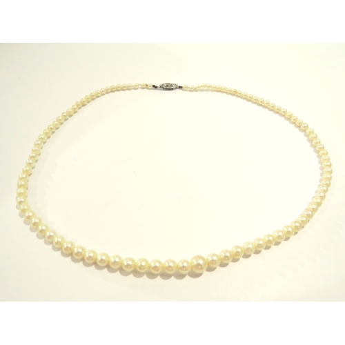 9426 - A single strand of graduated pearls, 45cm long, 9ct white gold clasp