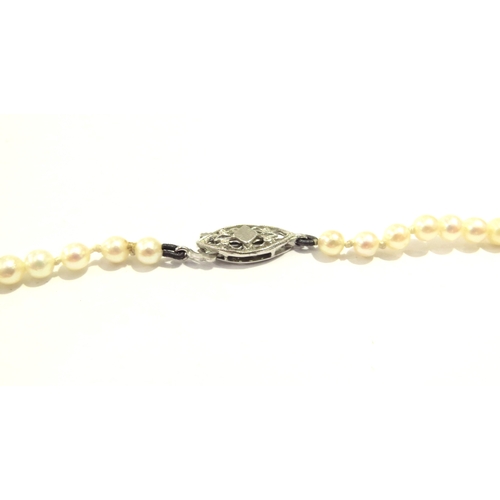 9426 - A single strand of graduated pearls, 45cm long, 9ct white gold clasp