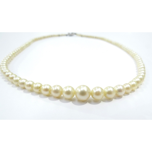 9394 - A single strand of graduated pearls, 44cm long