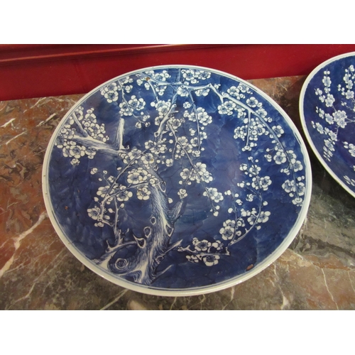 4136 - A pair of Oriental blue and white Blossom tree design chargers, 37cm diameter