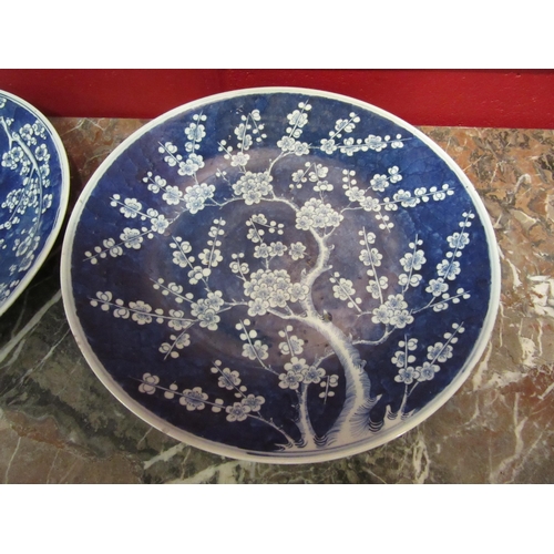 4136 - A pair of Oriental blue and white Blossom tree design chargers, 37cm diameter