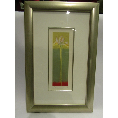 4467 - NEL WHATMORE: 'Rainbow Bloom I' limited edition print, no. 13/500, pencil signed, framed and glazed,... 