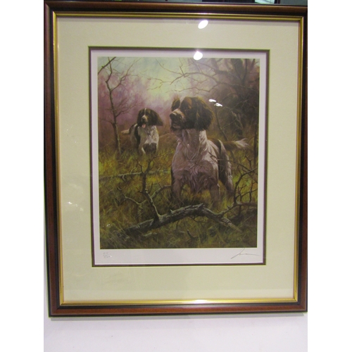 4486 - A pair of John Trickett limited edition prints of spaniels, no's. 211/500 and 152/500, framed and gl... 