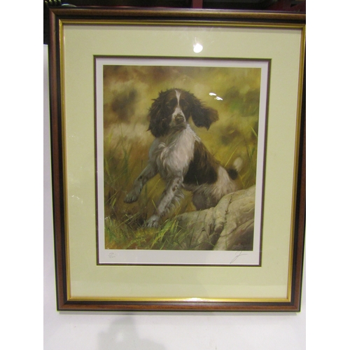 4486 - A pair of John Trickett limited edition prints of spaniels, no's. 211/500 and 152/500, framed and gl... 