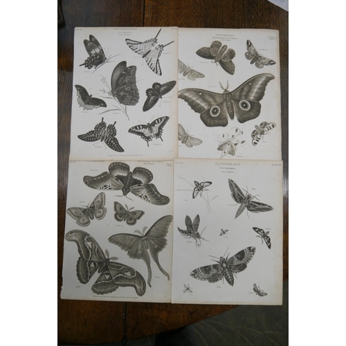 2127 - Four Georgian Entomology prints of butterflys