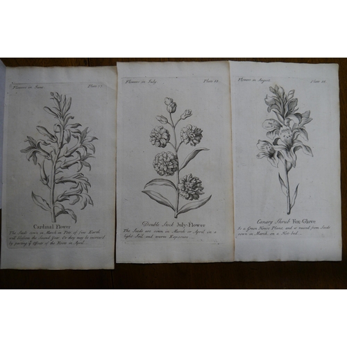 2076 - Three 18th Century prints of flowers in June, July and August