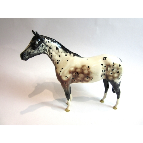 6051 - A Royal Doulton Appaloosa Stallion in black and white gloss, model no. H1772