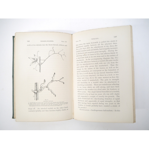 5357 - Charles Darwin: 'The Movements and Habits of Climbing Plants', London, John Murray, 1875, 2nd editio... 