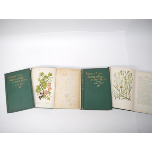 5356 - Anne Pratt: 'The Flowering Plants, Grasses, Sedges & Ferns of Great Britain', London, Frederick Warn... 