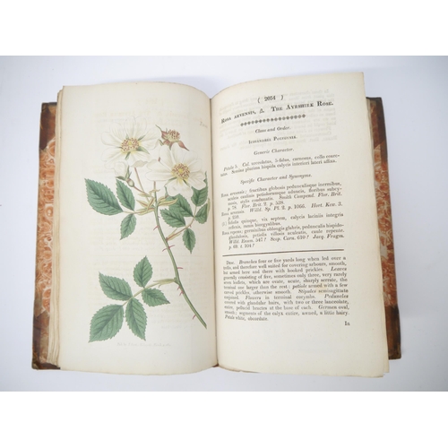 5359 - (Botany.) William Curtis, John Sims and others: 'Curtis's Botanical Magazine or Flower Garden Displa... 