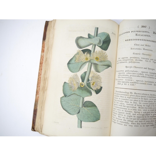 5359 - (Botany.) William Curtis, John Sims and others: 'Curtis's Botanical Magazine or Flower Garden Displa... 