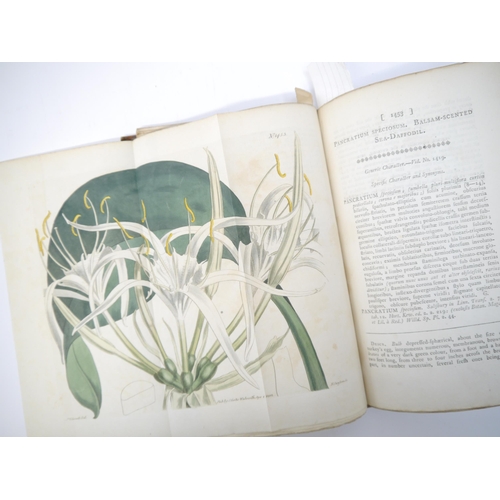 5360 - (Botany.) William Curtis and others: 'Curtis's Botanical Magazine or Flower Garden Displayed', Londo... 