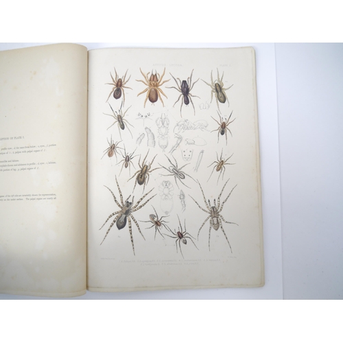 5364 - John Blackwall: 'A History of the Spiders of Great Britain and Ireland', London, Published for the R... 