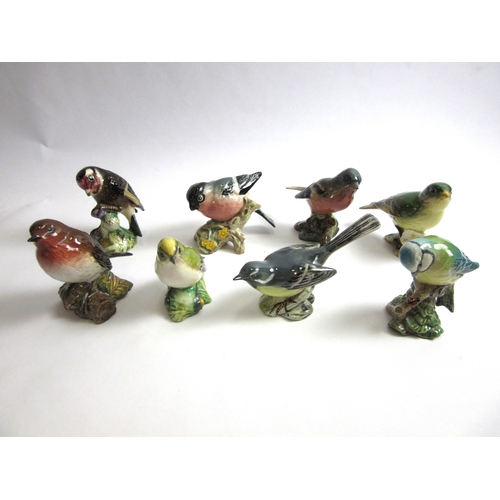 6028 - Eight Beswick small birds including Robin, Bluetit, Goldcrest, Greenfinch, etc