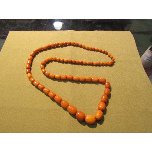 4366 - An amber bead necklace and a cherry amber/bakelite type necklace