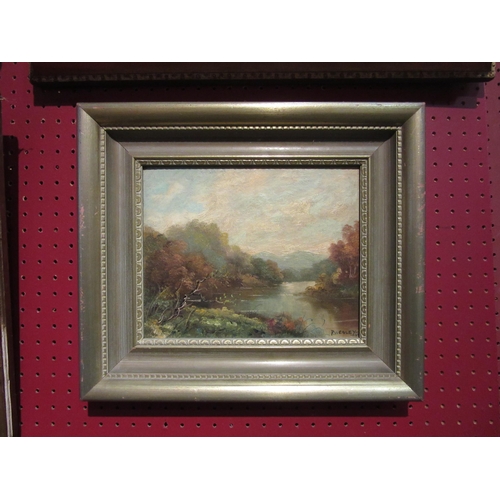 4043 - P.WESLEY: An oil on board of tree lined river scene, mountains to background, signed bottom right an... 