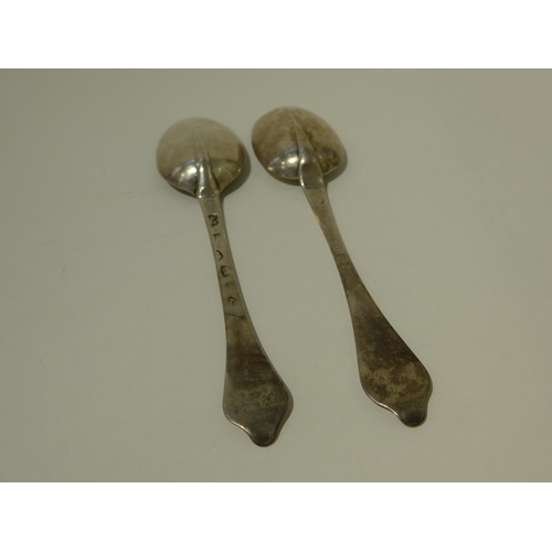 7020 - Two Queen Anne dog nose terminal spoons, one by William Matthew I, London 1702, the other dates to 1... 