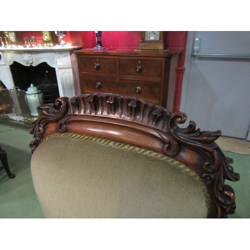 4213 - A William IV rosewood chair with carved decoration over a serpentine front seat on carved fore cabri... 