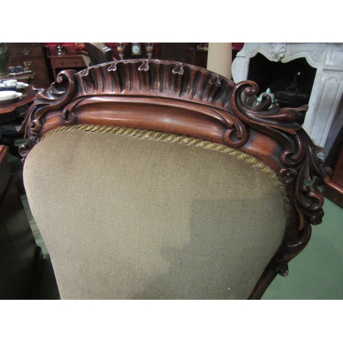 4213 - A William IV rosewood chair with carved decoration over a serpentine front seat on carved fore cabri... 