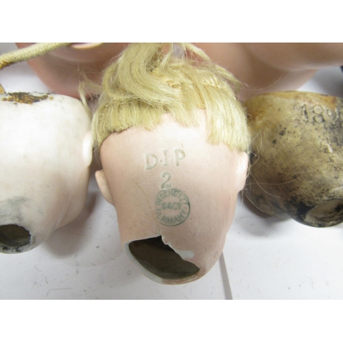 9279 - Twelve early 20th Century and later bisque doll heads including Heubach Koppelsdorf, Strobel & Wilki... 