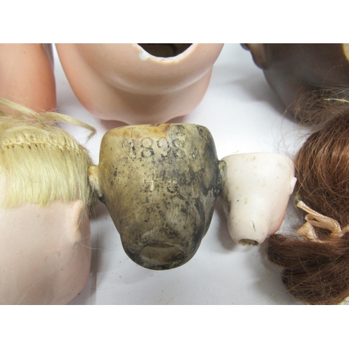 9279 - Twelve early 20th Century and later bisque doll heads including Heubach Koppelsdorf, Strobel & Wilki... 