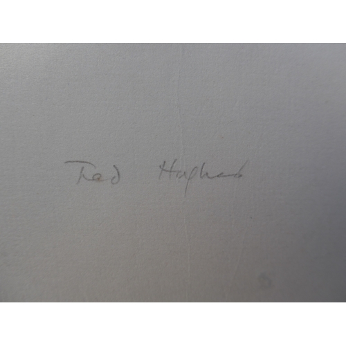 6088 - TED HUGHES (1930-1998) & GAVIN ROBBINS (XX) A framed and glazed limited edition print, 'Bowled Over'... 