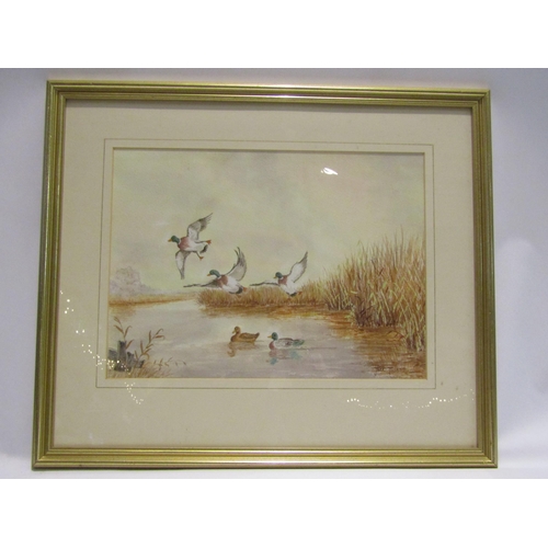 4517 - A pair of floral still life prints and a JACK TILLETT watercolour of flying ducks, all framed and gl... 