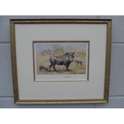 4066 - David Shepherd OBE 'Warthog Family' a four colour offset lithograph, pencil signed 101/650, framed a... 