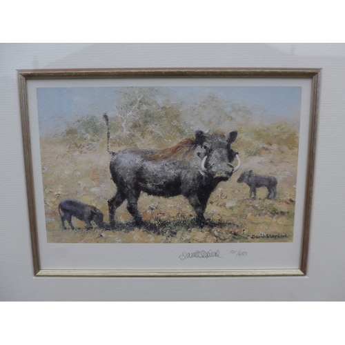 4066 - David Shepherd OBE 'Warthog Family' a four colour offset lithograph, pencil signed 101/650, framed a... 