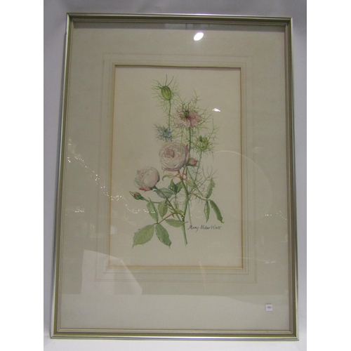 4497 - MARY MILLAR WALT: Botanical watercolour. Signed lower right. Framed and glazed. 41cm x 26.5cm image ... 