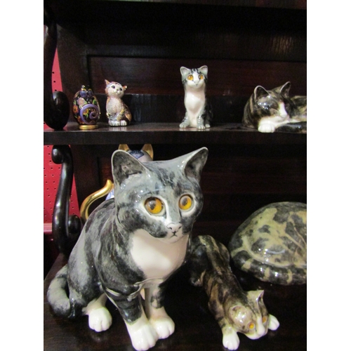 4045 - A collection of porcelain cat figures including Mike Hinton and Winstanley, one with damage to ear (... 