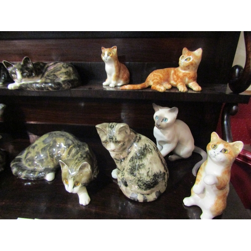 4045 - A collection of porcelain cat figures including Mike Hinton and Winstanley, one with damage to ear (... 