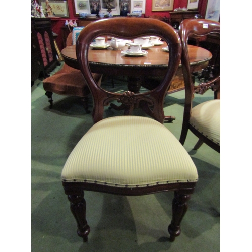 4100 - A pair of early Victorian style mahogany balloon-back chairs the serpentine front seat on turned and... 