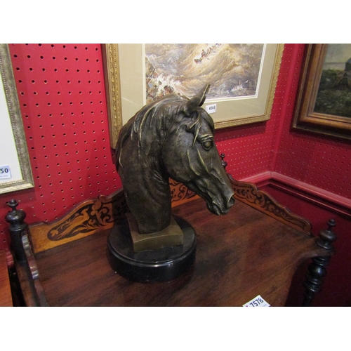 4070 - A bronze bust of a horse on marble base, 32cm tall