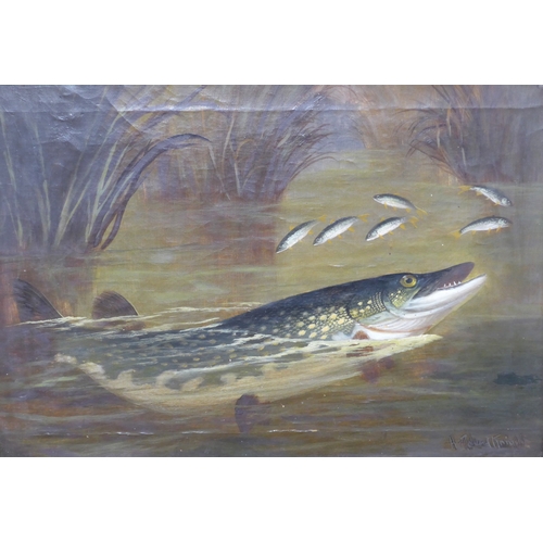 6019 - Follower of A. Roland Knight (1879-1921) Two framed oils on canvas - Salmon & Trout catch, bearing s... 