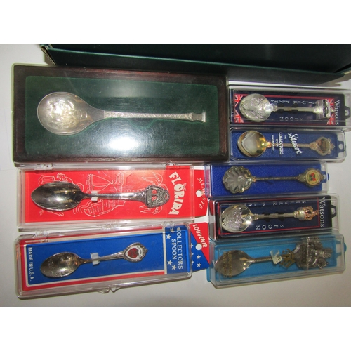 1369 - A box of miscellaneous collectors spoons including silver