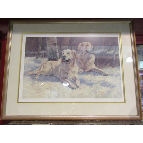 4160 - A John Trickett limited edition print of two Labradors, no. 549/850, 34cm x 49cm image size, and a G... 